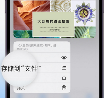 瓮安apple维修中心分享iPhone文件应用中存储和找到下载文件