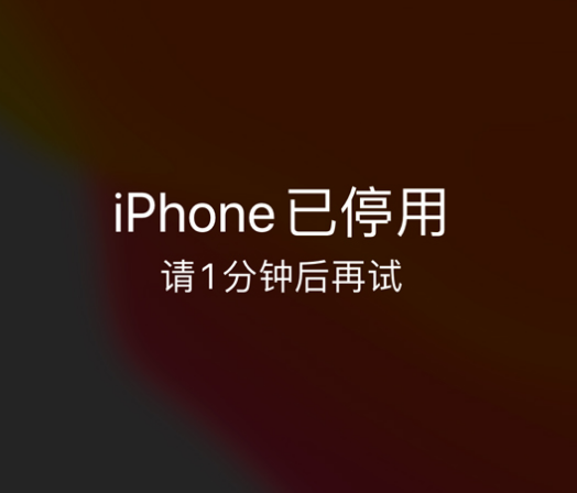 瓮安苹果手机维修分享:iPhone 显示“不可用”或“已停用”怎么办？还能保留数据吗？ 