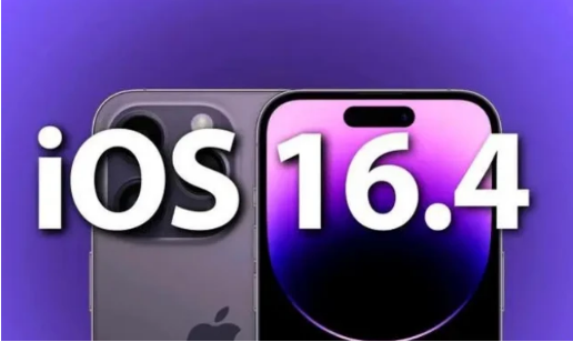 瓮安苹果14维修分享：iPhone14可以升级iOS16.4beta2吗？ 