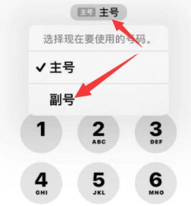 瓮安苹果14维修店分享iPhone 14 Pro Max使用副卡打电话的方法 