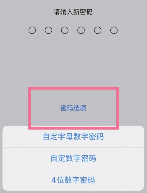 瓮安苹果14维修分享iPhone 14plus设置密码的方法 