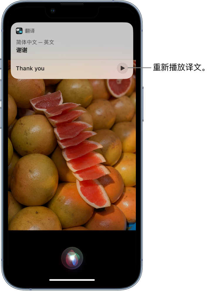 瓮安苹果14维修分享 iPhone 14 机型中使用 Siri：了解 Siri 能帮你做什么 