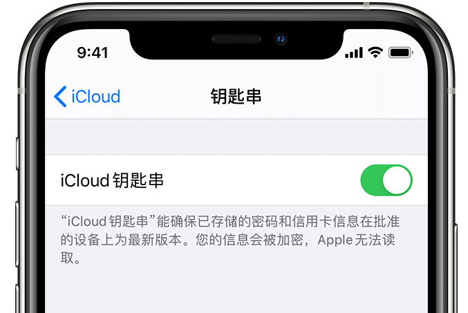 瓮安苹果手机维修分享在 iPhone 上开启 iCloud 钥匙串之后会储存哪些信息 